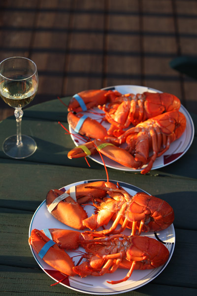 Lobster