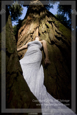 One Dress, One Woman, One World
