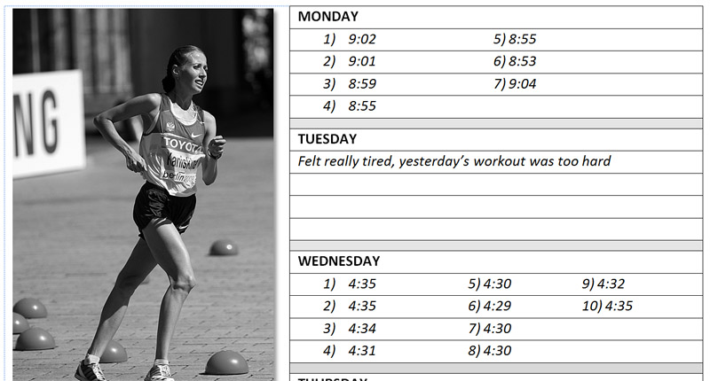 Excellence in Training - A Race Walking Specific Training Log - Additional Notes