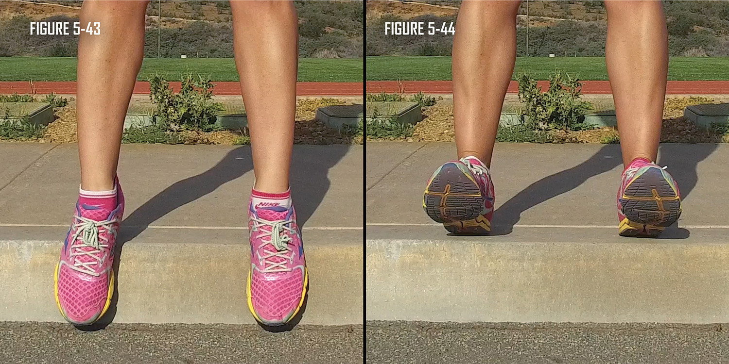 Toe Raise Exercise