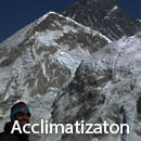 Acclimatization