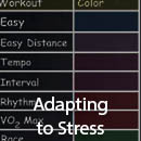 Adapting to Stress